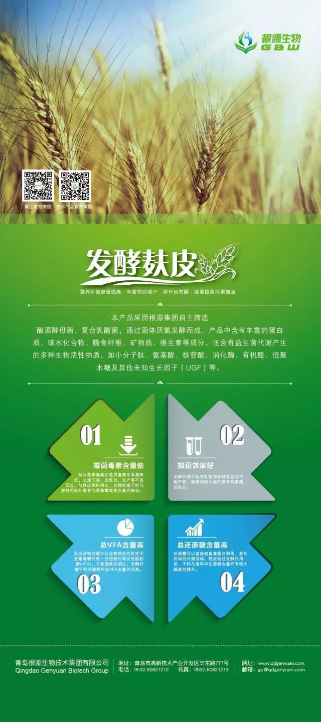 1495006369130402.jpg 8.jpg