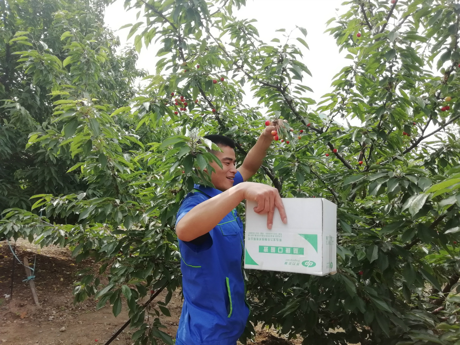 1528425235808024.jpg 微信圖片_201806081001502_meitu_5.jpg