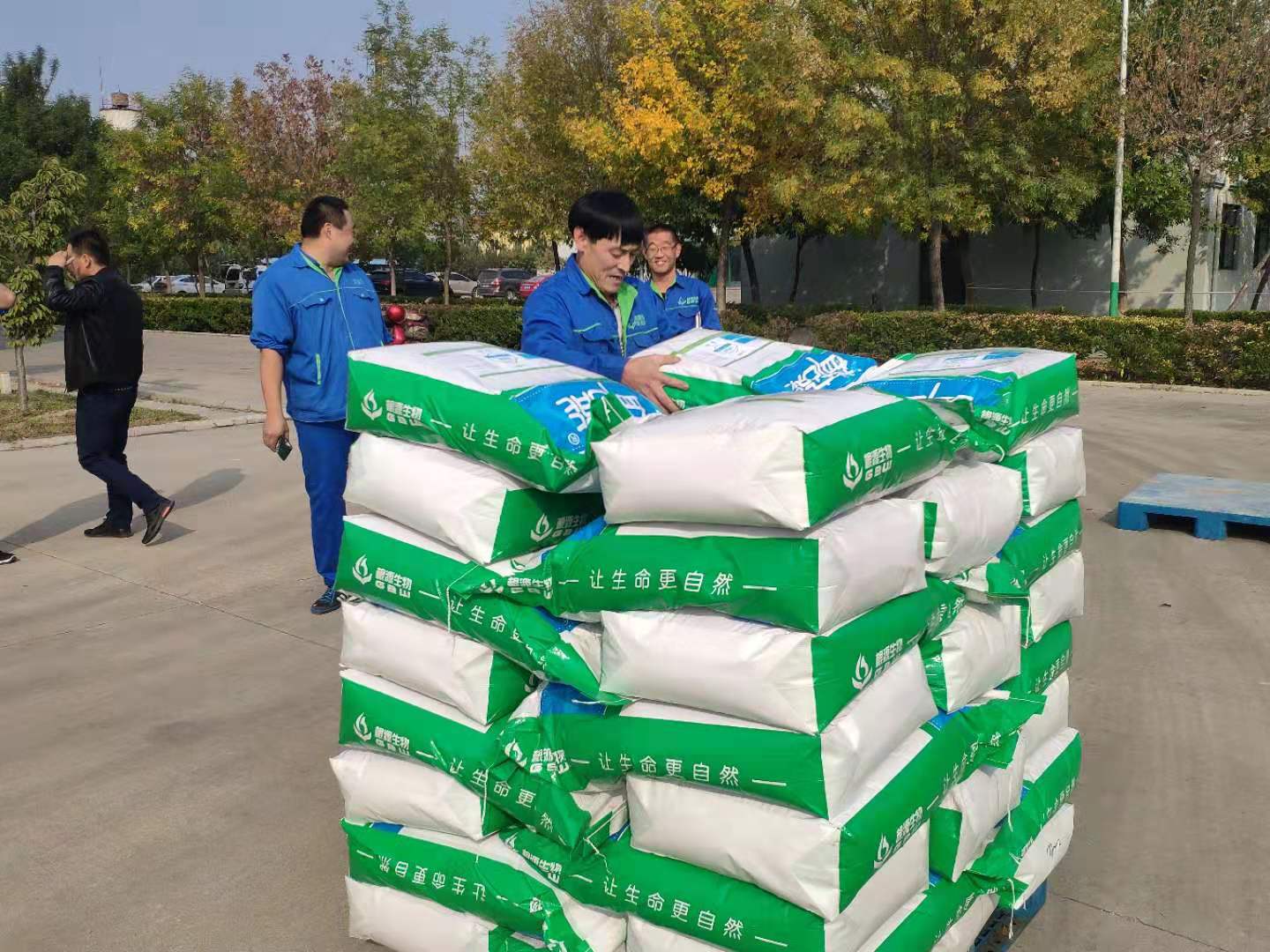 1572487085776276.jpg 微信圖片_2019102913143817.jpg