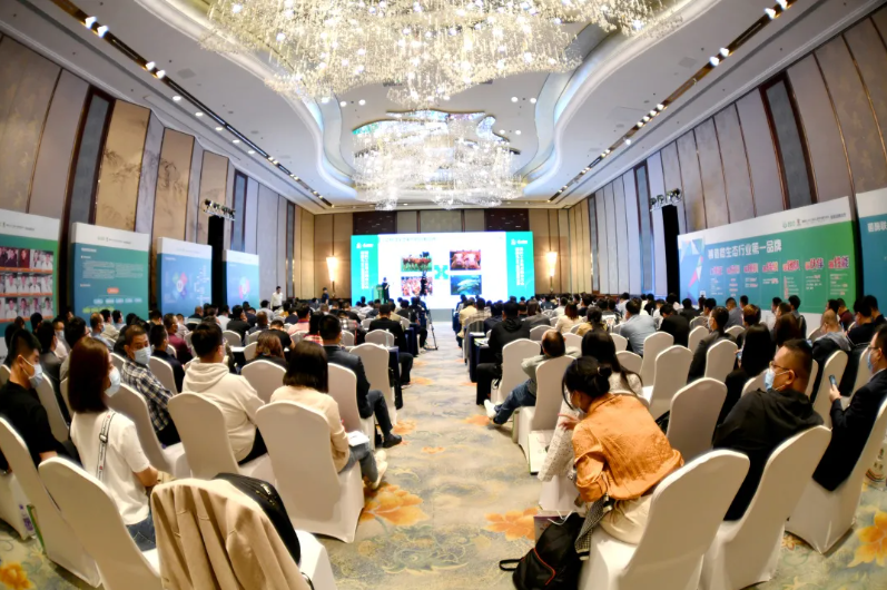 1635489890811045.png 11.png